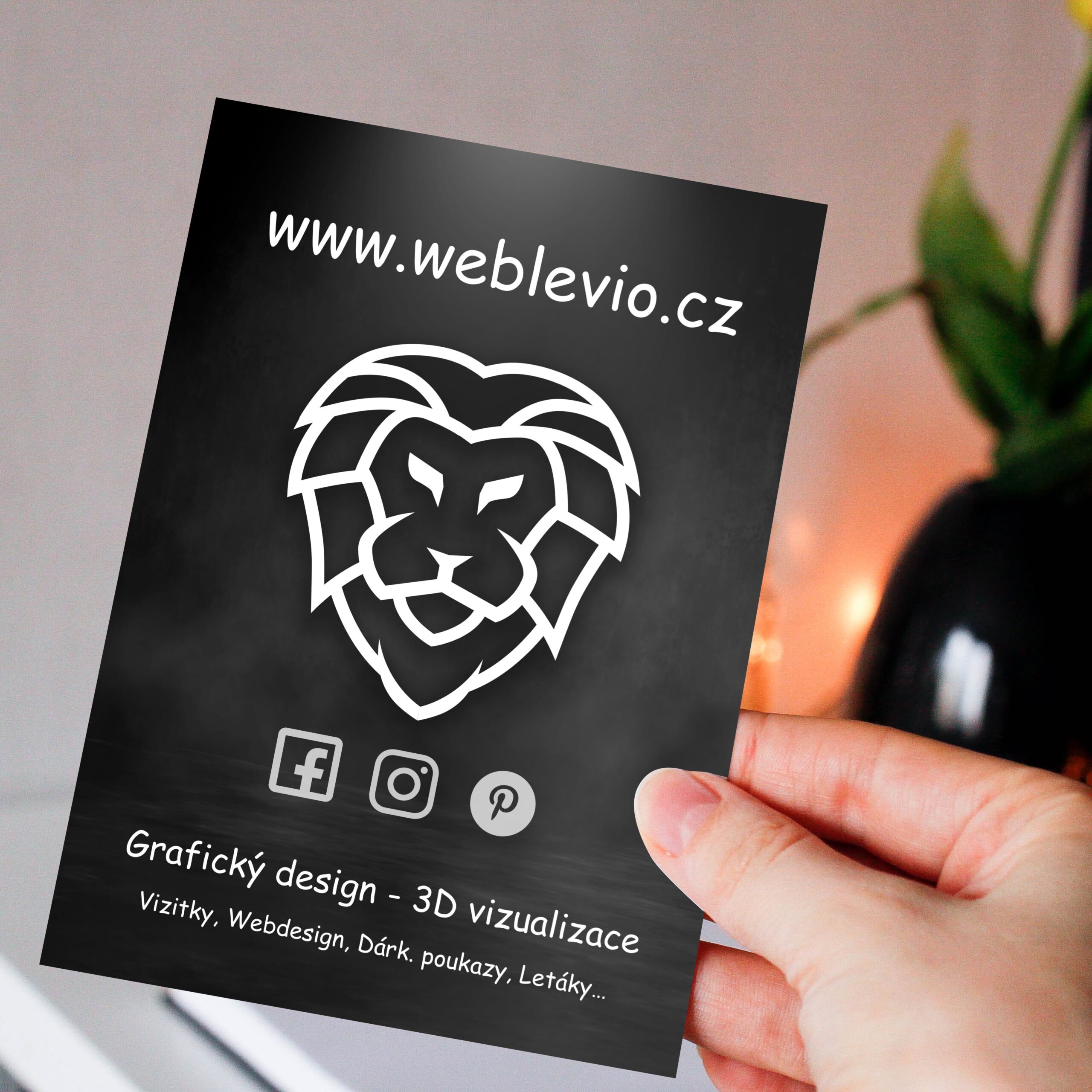 Weblevio - Grafický design